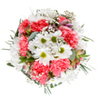 This delightful floral arrangement, inspired by the lively character of New Cross, is a visual ode to springtime renewal. At the core, radiant white daisies unfurl around zesty green centres, embodying innocence and a gentle, cheerful spirit. Nestled among them, plush coral-pink carnations lend richness and warmth, each ruffled layer capturing the playful energy of local community gardens. Wispy gypsophila threads through the bouquet like starry constellations, softening the display with its light, dreamy presence. Hints of blush alstroemeria and aromatic eucalyptus peek out, filling the air with fresh, subtly earthy notes and bringing harmony to the soft green and pink palette. Artfully arranged in a perfect circle, this bouquet celebrates life's happy occasions-whether welcoming a loved one home on New Cross Road, marking a birthday, or sending an expression of encouragement. Every detail speaks of experienced hands and creative vision, crafted to brighten tables in family kitchens or to offer a moment of joy to friends in the heart of SE14. Lively yet tranquil, each bloom is a tribute to the ever-renewing optimism found across New Cross.